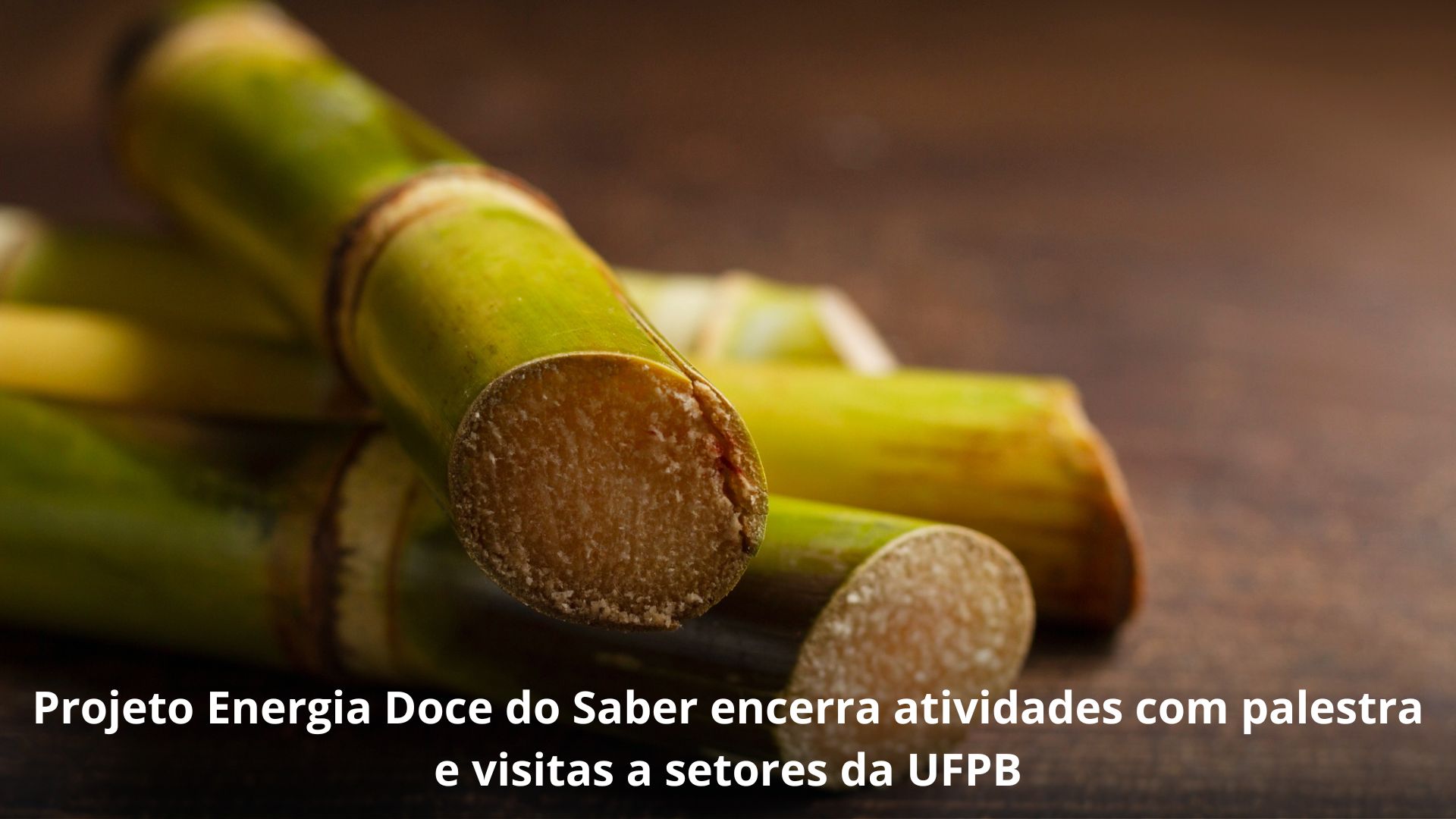 Projeto Energia Doce do Saber encerra atividades com palestra e visitas a setores da UFPB