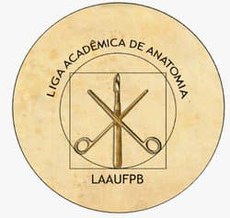 Crédito: Divulgação